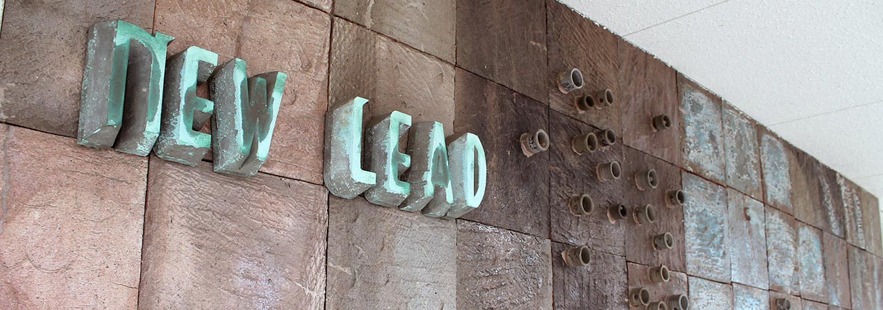 株式会社New Lead